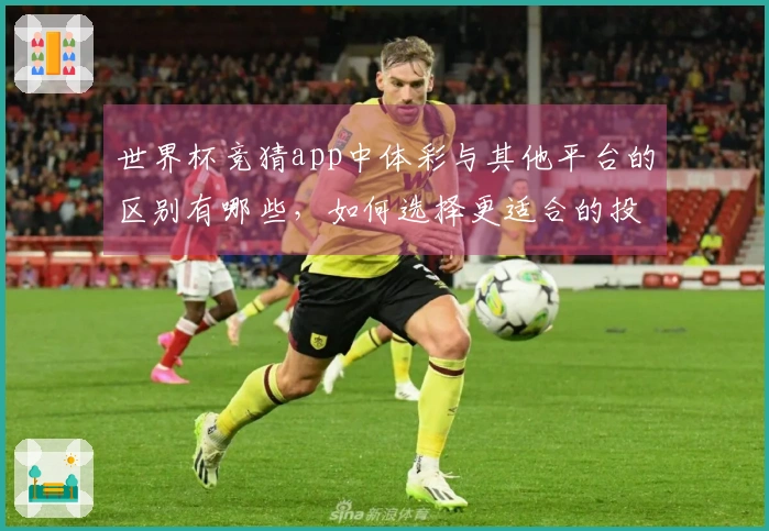 世界杯竞猜app中体彩与其他平台的区别有哪些，如何选择更适合的投注方式
