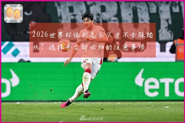 2026世界杯体彩怎么买才不会踩踏坑？选择平台时必知的注意事项