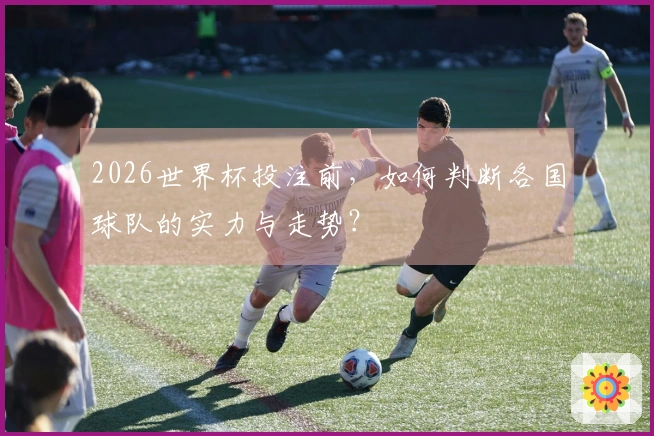 2026世界杯投注前，如何判断各国球队的实力与走势？